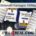 Sildenafil Kamagra 100Mg 12